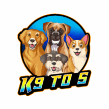 Doggie Playcare and Boarding